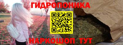 гашиш Новодвинск